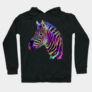 Zebra Safari Adventures Hoodie